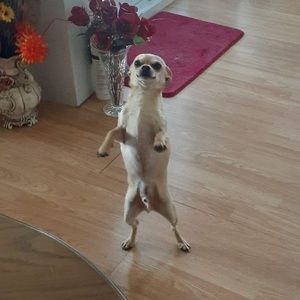 Meet your Posher, Scott